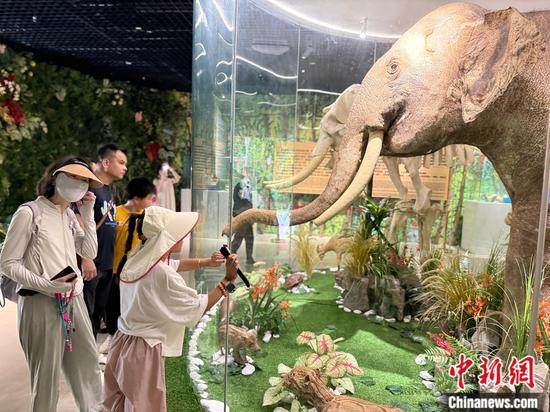 Tourists visit the Asian Elephant Museum at Wild Elephant Valley in the Xishuangbanna National Nature Reserve, southwest China's Yunnan Province, on July 14, 2026. (Photo: China News Network/Huang Fang)