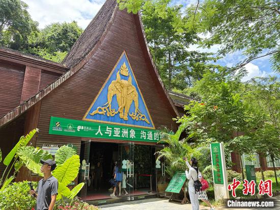 Photo shows the Asian Elephant Museum at Wild Elephant Valley in the Xishuangbanna National Nature Reserve, southwest China's Yunnan Province. (Photo: China News Network/Huang Fang)