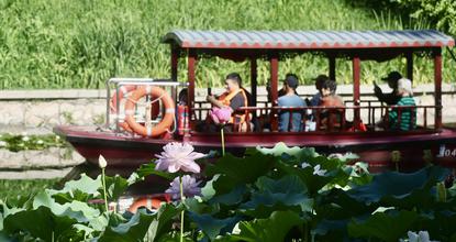 China enters dog days of summer