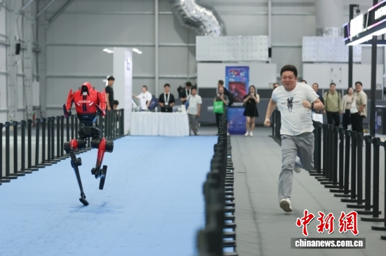 A visitor competes in a running race with a humanoid robot at the 2026 World Artificial Intelligence Conference in Shanghai, July 19, 2026. (Photo: China News Service/Yang Yuran)