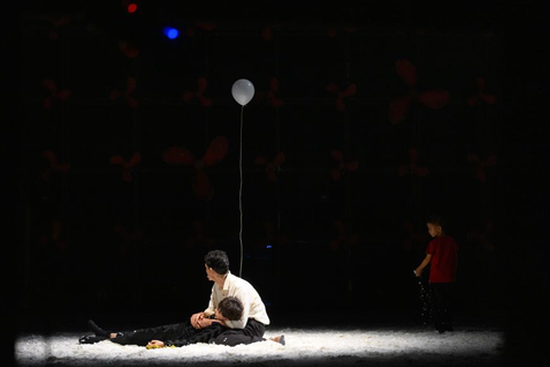 Chinese-French co-produced musical The Little Prince staged in Beijing