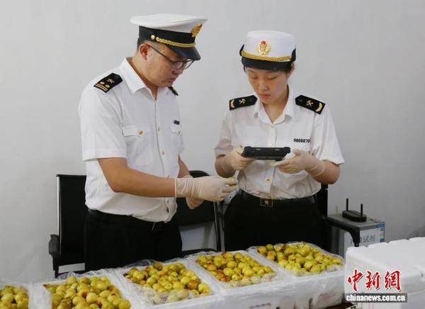 Weinan Customs
