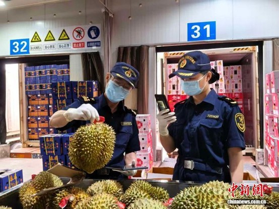Customs officers streamline clearance for durian shipments at Youyiguan Port. (Photo: China News Service/Xie Hao)