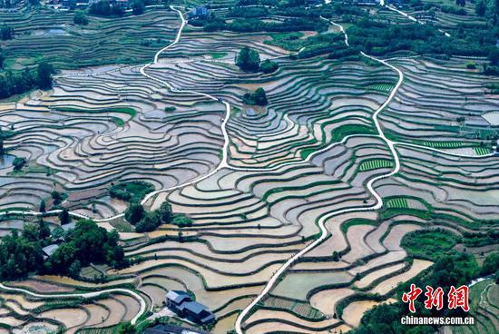 China builds over 67 million hectares of high-standard farmland