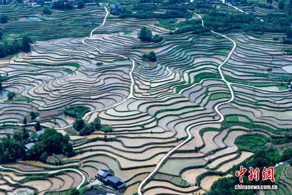 Terraced fields in Chongqing. (File photo: China News Service)