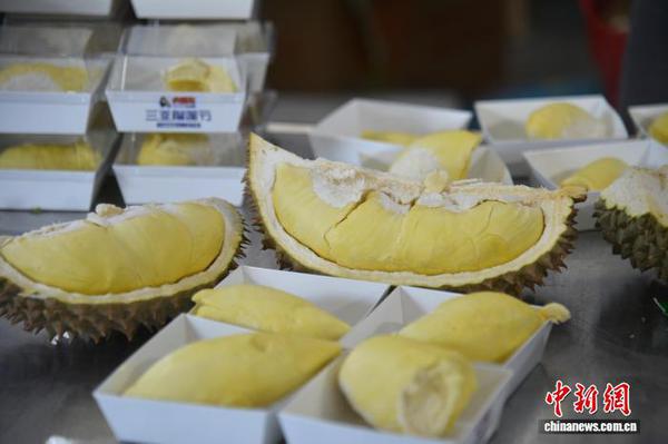 Freshly cut durians are on display at the opening of the 2026 Sanya Durian Festival in the Yucai Ecological Zone, Sanya, on July 26, 2027. (Photo: China News Service/Zhang Yuehe)