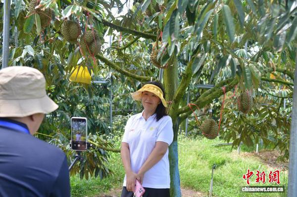 A woman poses for photos under a durian trees in the Yucai Ecological Zone, Sanya, on July 26. (Photo: China News Service/Zhang Yuehe)