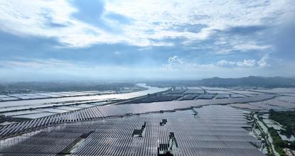 Exploring spectacular photovoltaic panels above shrimp ponds