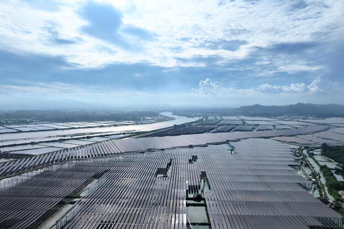 Exploring spectacular photovoltaic panels above shrimp ponds