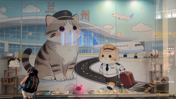 Pictures of the cat family. (Screenshot from China News Service)