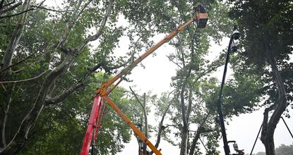 Typhoon Dolphin topples trees in Hangzhou
