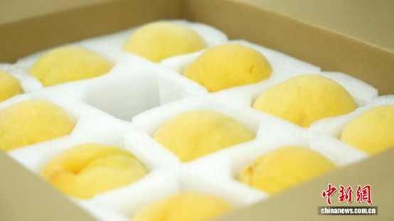 Beishan yellow peaches packed in gift boxes. (Photo: News Service/ Yu Ziqiang)