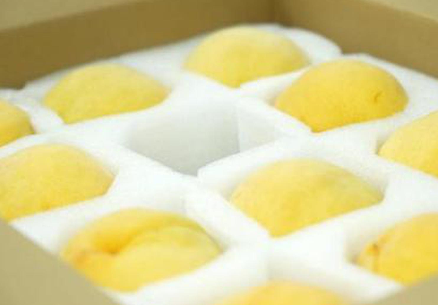 Yellow peaches from east China debut in Serbia