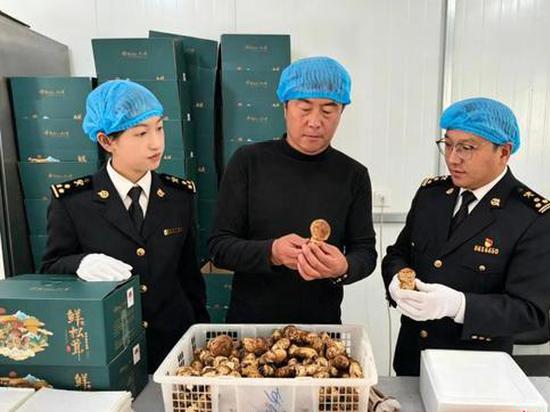 Yunnan's fresh fungi export grows 24.7% in Jan.-July