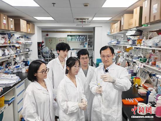 Zhou Bin and his team work in the laboratory. (Photo: Center for Excellence in Molecular Cell Science, CAS)