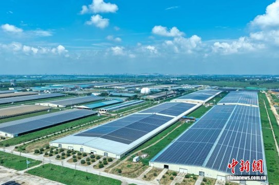 The 60-megawatt photovoltaic power project at Anhui Huadian Modern Animal Husbandry (Wuhe) Co., Ltd, August 20, 2026. (Photo: China News Service/ Zhao Qiang)