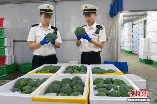 Inspection site. (Photo: Yinchuan Customs)