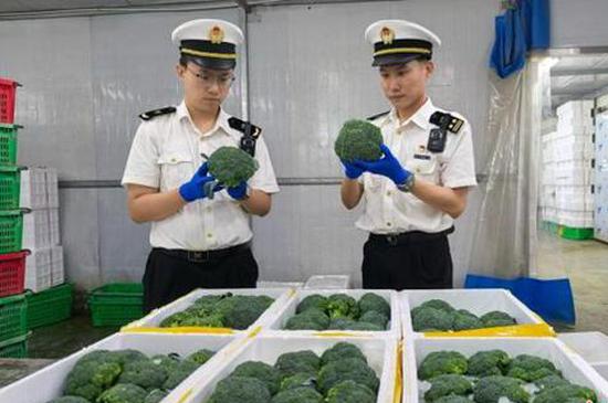 Ningxia launches batch-inspection pilot for farm-food exports