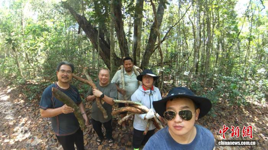 Members of the Chinese medical team to Guyana pose for a selfie with a local guide after collecting the medicinal plant. (Photo by Wei Haoyang, a traditional Chinese medicine specialist with the team)