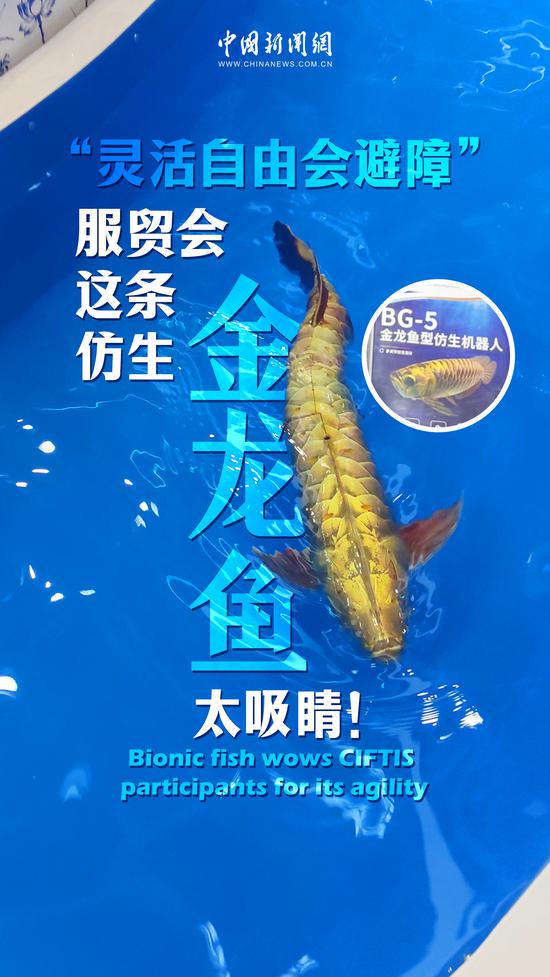 Bionic fish wows CIFTIS participants for its agility
