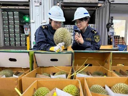 Guangzhou's trade with ASEAN tops $20.5 billion in first eight months