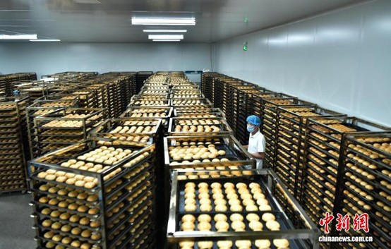 A worker checks mooncakes at a production workshop, Sept. 16, 2026. (Photo: China News Service/ Zhai Yujia)