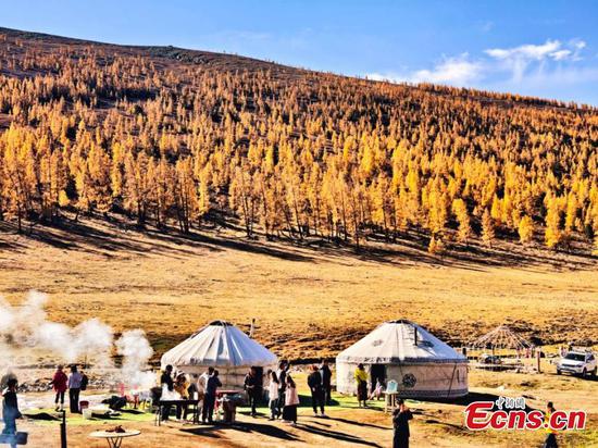 Vehicles travel along the G681 Ahe Highway in Altay, northwest China's Xinjiang Uygur Autonomous Region, during the National Day holiday in early October 2026. (Photo: Shi Yujiang)