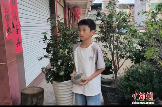 Chen Zixi finds a dinosaur egg fossil in Heyuan, Guangdong province. (Photo: Publicity Department of the CPC Heyuan Municipal Committee)