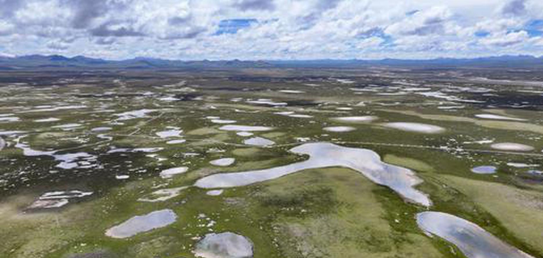 China reports progress in first five national parks, with wildlife numbers rising