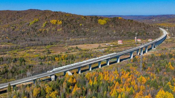 An aerial drone photo taken on Oct. 6, 2026 shows a bullet train of Harbin-Yichun high-speed railway running through forests in autumn scenery in Yichun, northeast China's Heilongjiang Province. (Photo by Yuan Yong/Xinhua)