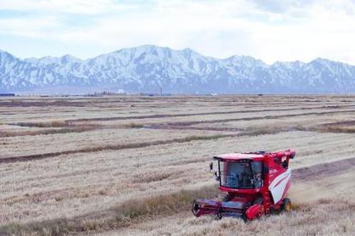 China's autumn grain harvest enters peak season, tops 60%