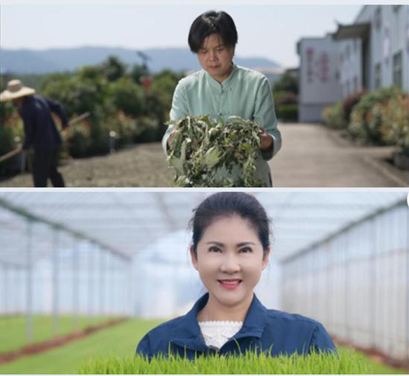 China In Photos: Two Chinese women named among FAO's 100 Women Heroes