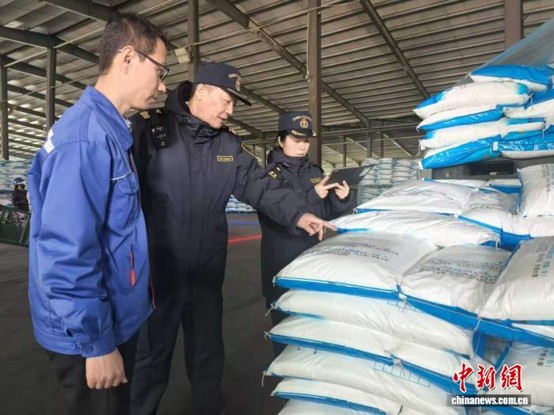 Customs officers inspect fresh sweet corn bound for export. (China News Service/Yao Jingyu)