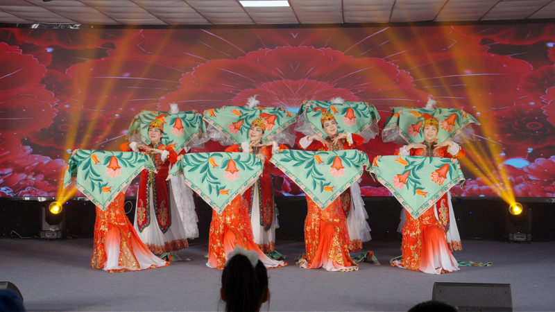 节目石榴花开。