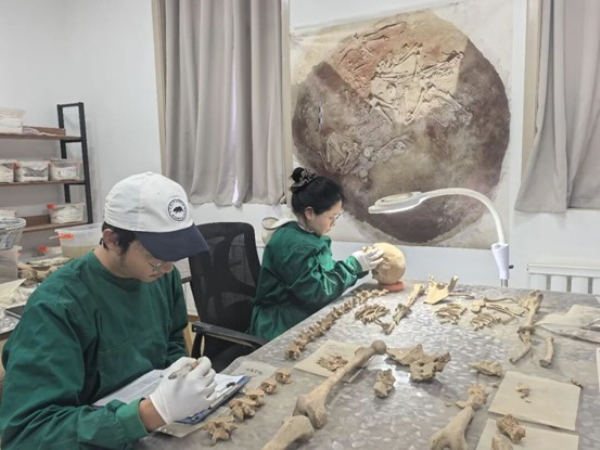 东区墓地Z1出土人骨的整理与研究。