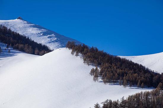 和布克赛尔县松树沟雪景美得让人心醉