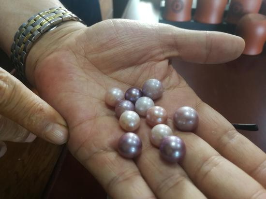 大河之滨砥砺前行 时代潮头奋楫扬帆(图1)