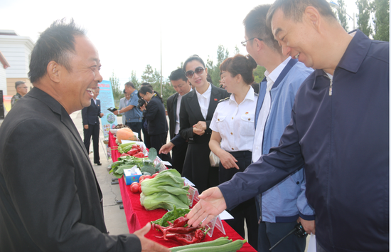 奎屯市三方联动助菜农广销 农民笑颜开