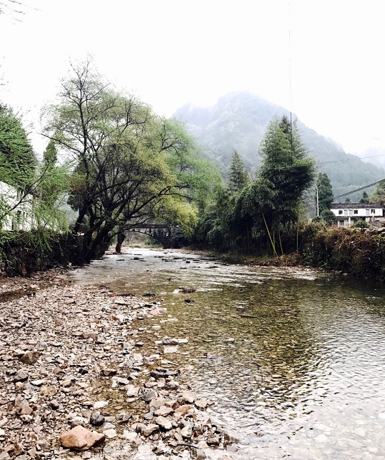 圖為:仙居縣淡竹鄉大源村風光 仙居縣委宣傳部供圖