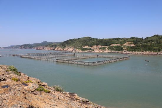 浙江洞頭推進鹿西島漁業產業數字化發展示範建設項目