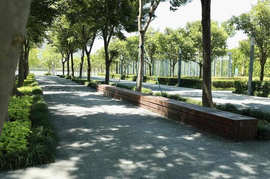 绿荫下的市民广场. 朱海升供图