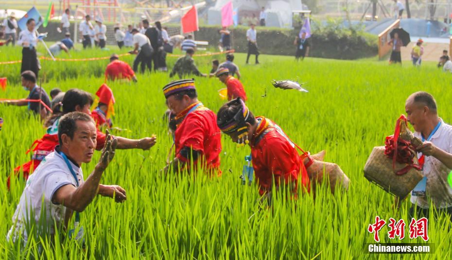 2020年廣西慶祝中國農民豐收節在全州縣啟動15