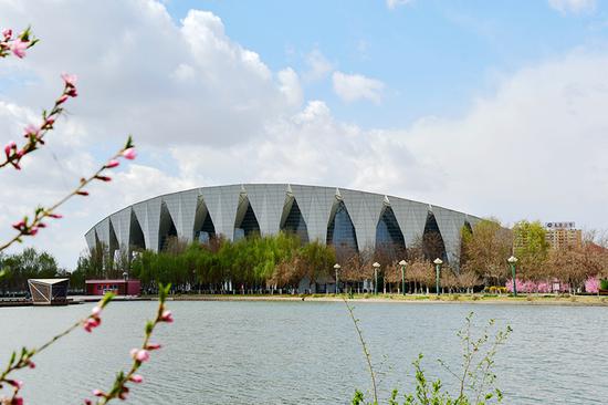 新疆阿拉尔市大学城图片