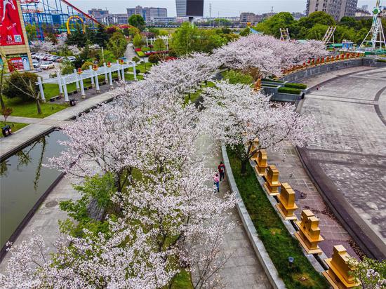 掠影:走进浙江婺城 感受"生态名城"绿水青山之美-中国新闻网-浙江新闻