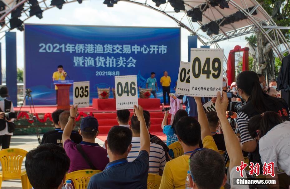 广西北海200斤大龙趸拍出88888元