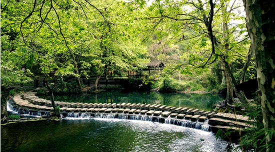 阿哈湖國家溼地公園實拍圖