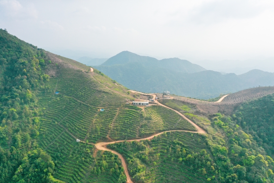 广西博白风景区图片