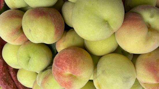 和静县农家土桃子成就村民致富路