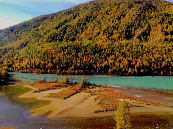 阿尔泰暖阳――我读《解忧牧场札记》-中新网·新疆