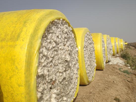 棉花采收打包等待装车.刘胜浪 摄